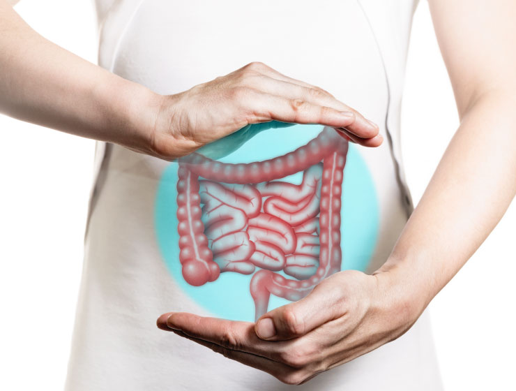 Was sind Probiotika und probiotische Nahrungsergänzungsmittel und wie funktionieren sie im Körper?