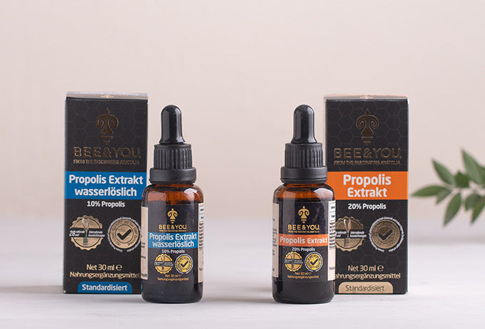 Propolis- Wie ist die richtig Anwendung und Dosierung?