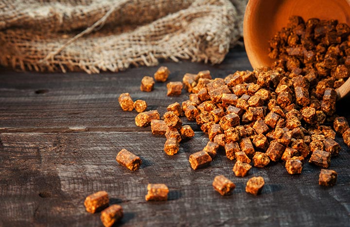 Was ist Bienenbrot?