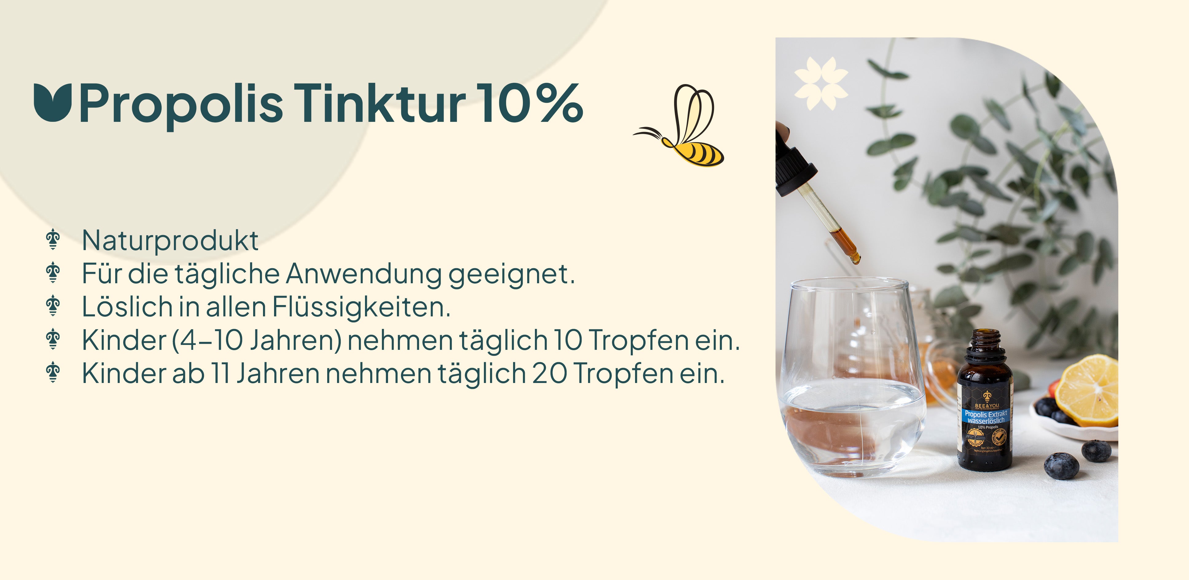 Kennenlern-Paket A+ 2