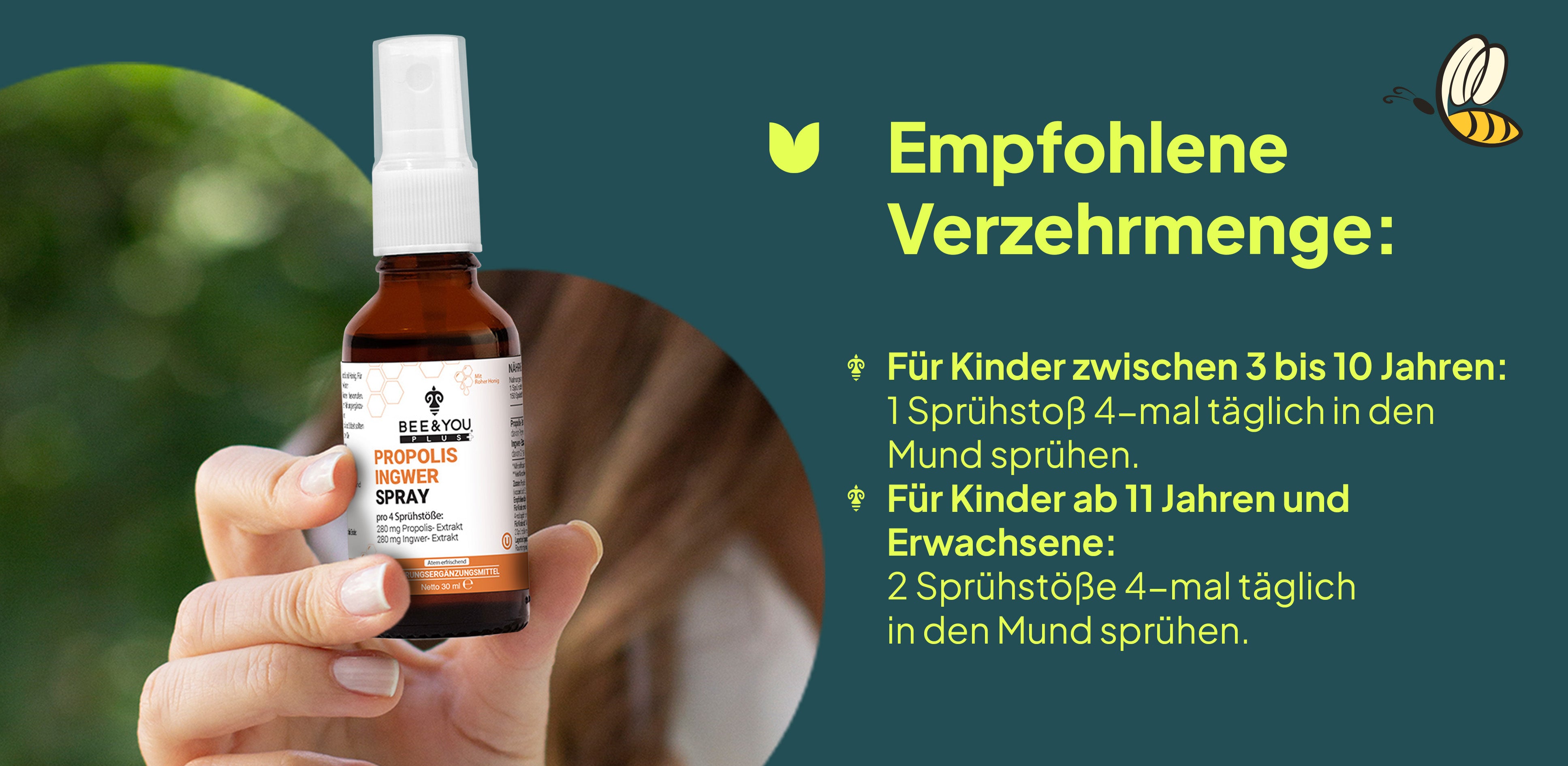 Ingwer A+ 3