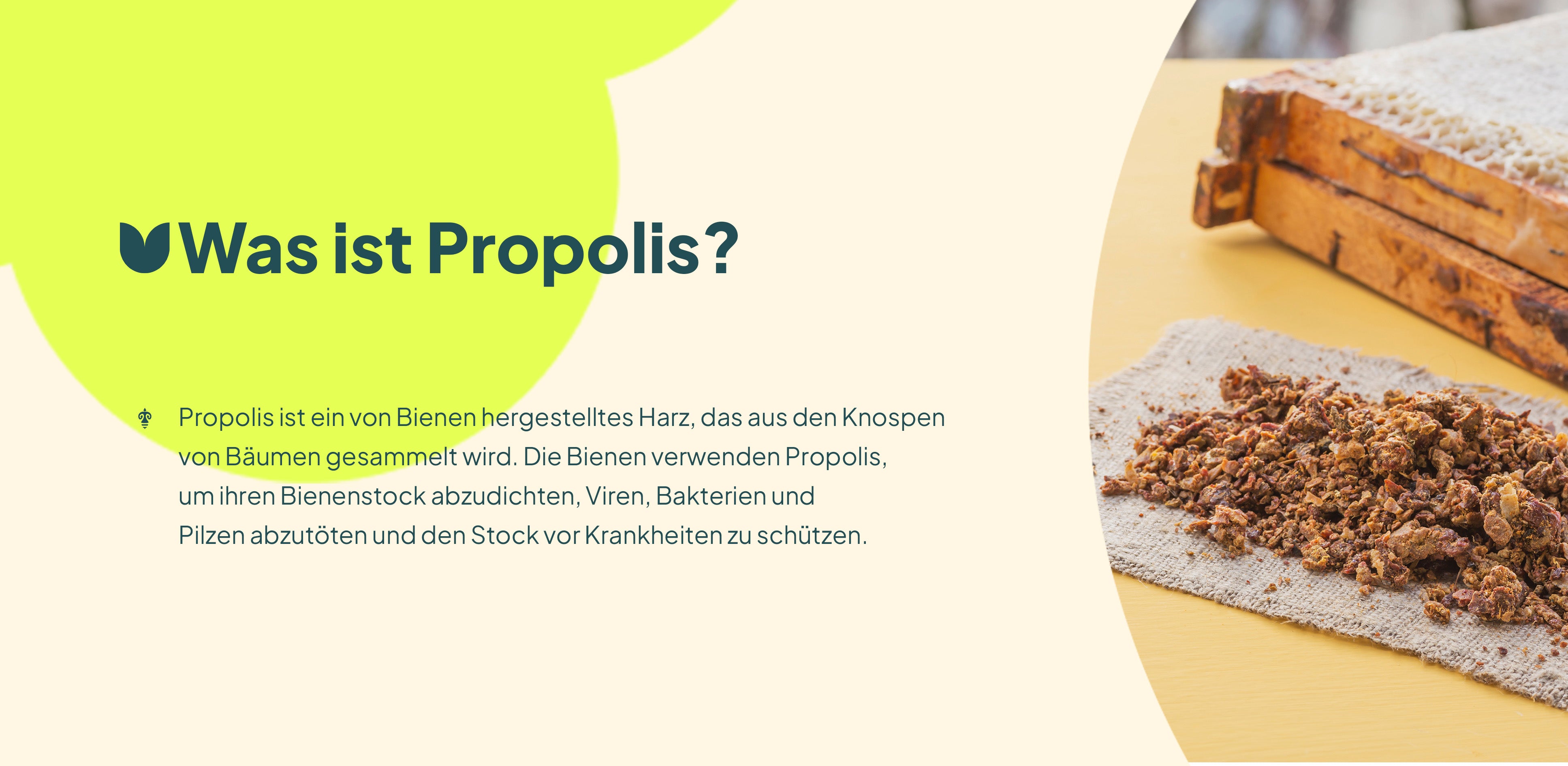 Propolis Spray A+ 4