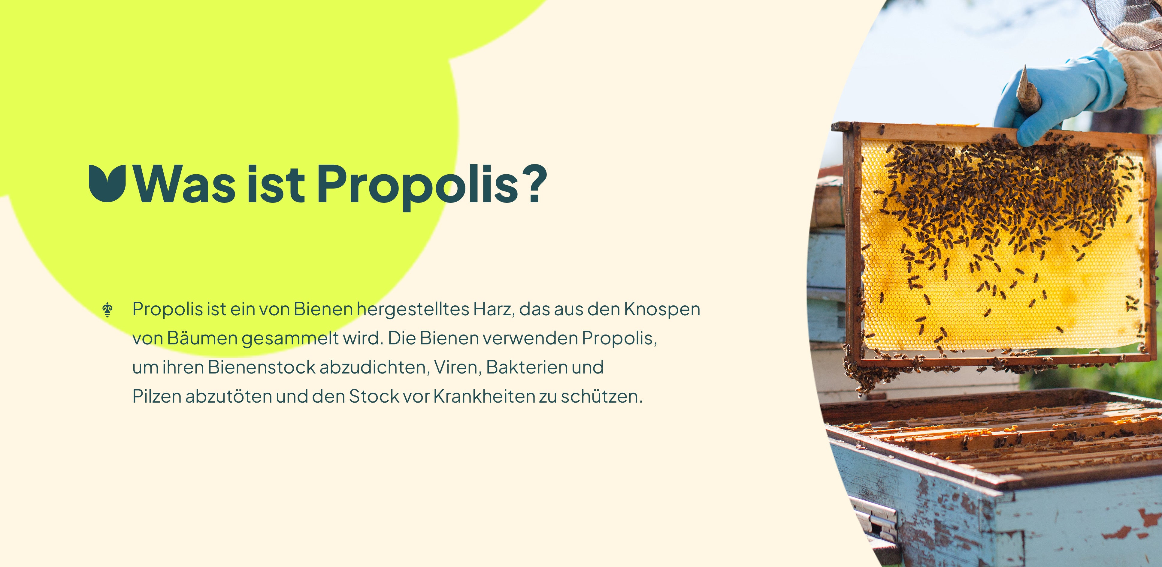 Honigsirup A+ 4