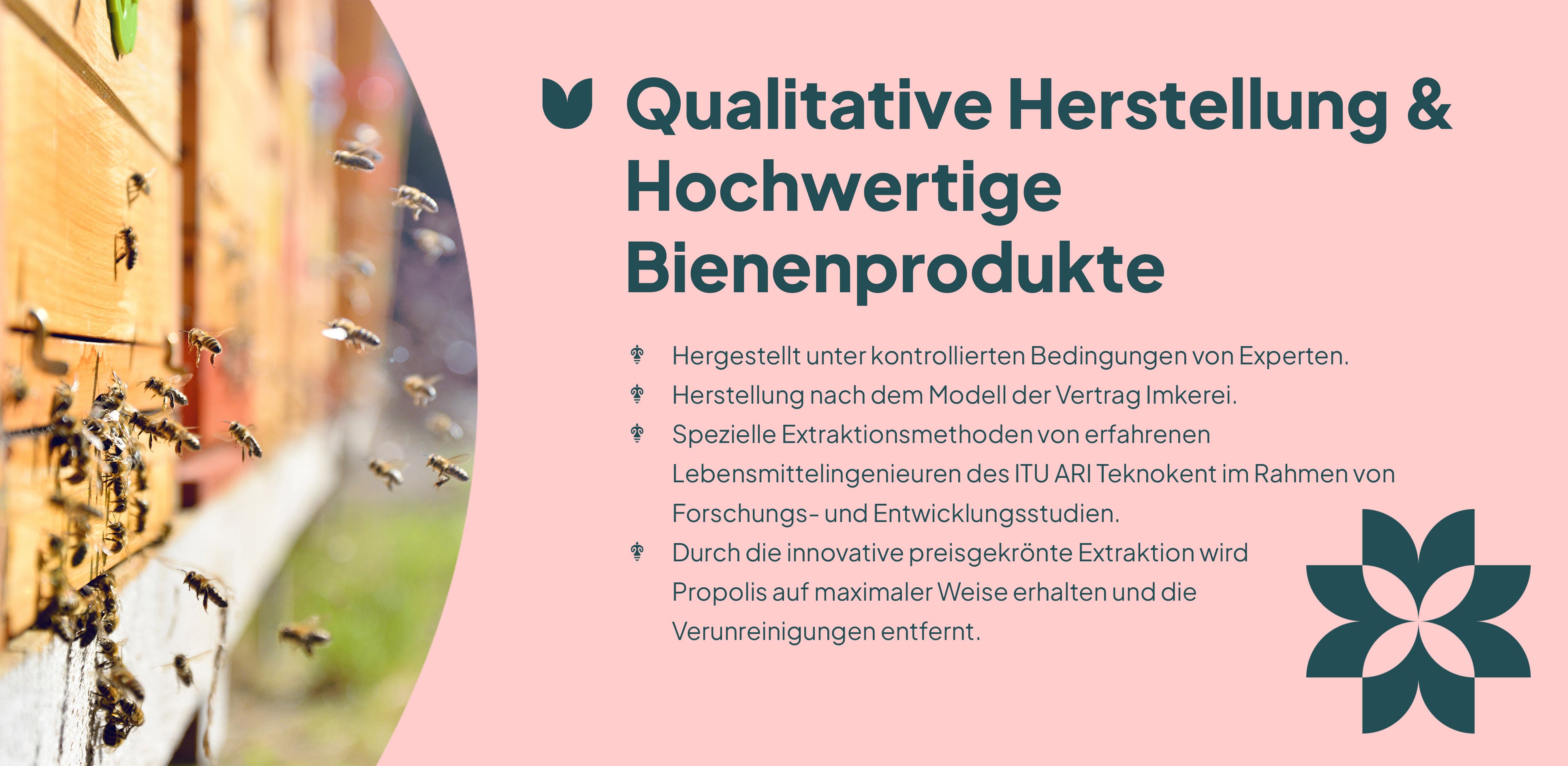 Kennenlern-Paket A+ 5