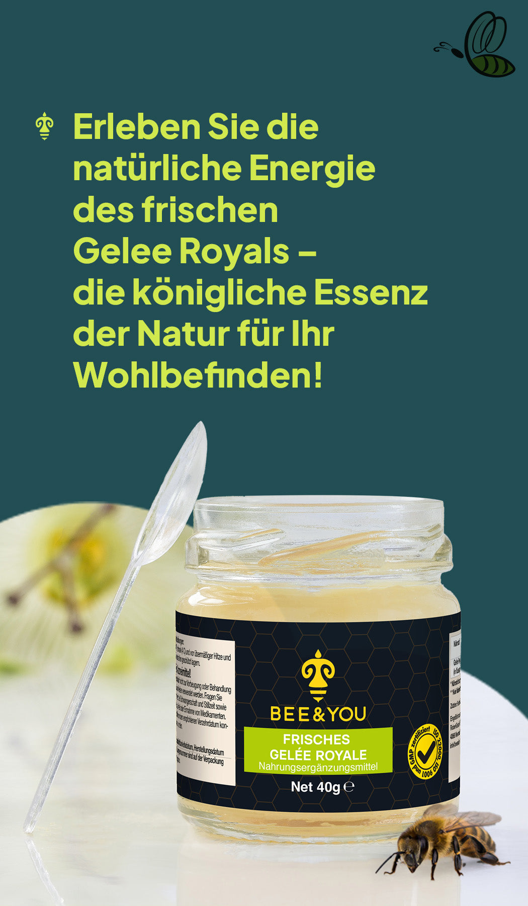 Frisches A+ 3