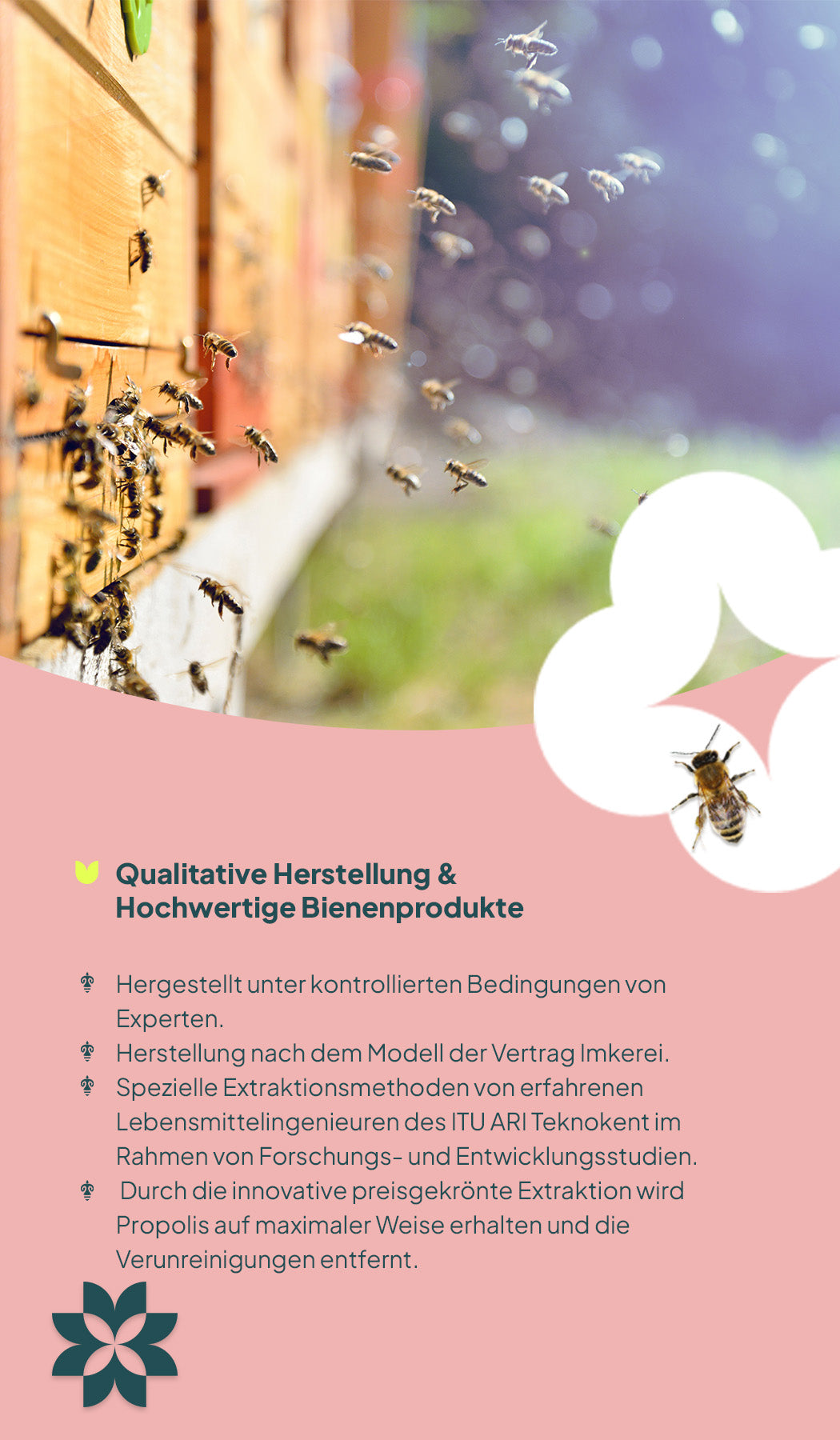 Blütenpollen A+ 4