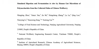 Positive Effects of Bee Pollen on Human Gut Microbiota